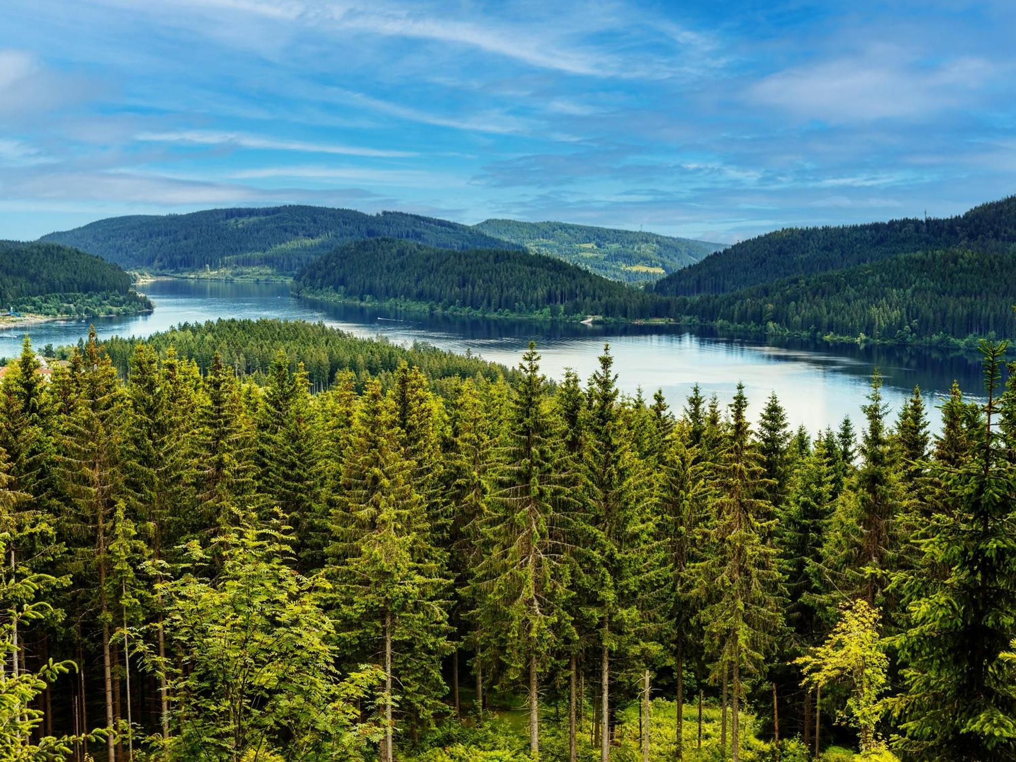 Black Forest Luxury Apartment Baerenhoehle Mit Sauna Schluchsee Exterior photo
